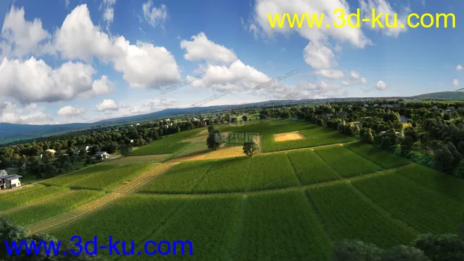 鸟瞰麦田 稻田 稻谷3D模型的图片2