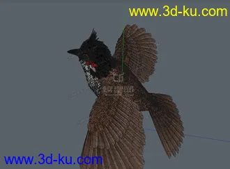 3D打印模型小鸟 C4D的图片