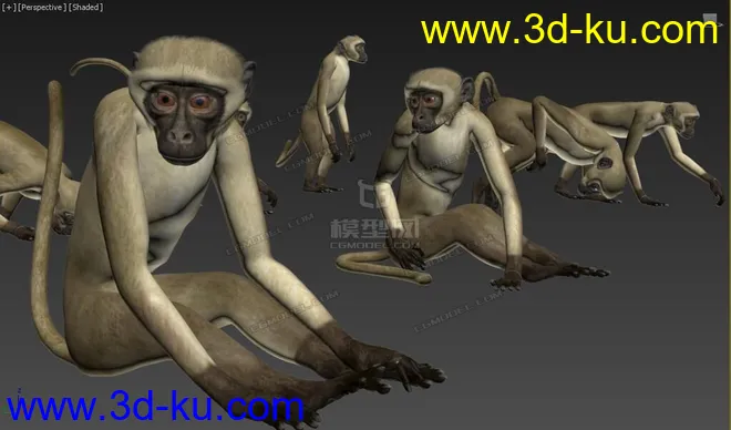 Free 动物调皮猴子 多姿势 绑定骨骼精准蒙皮 by:模型专业户的图片2
