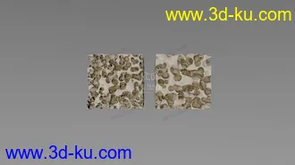 骨质疏松  Osteoporosis   C4D模型的图片