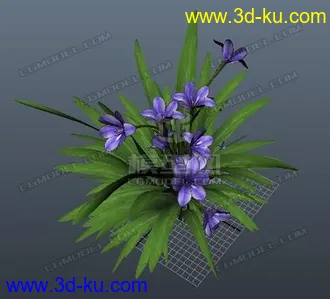 3D打印模型花草 小花 B的图片