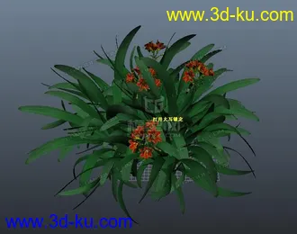 3D打印模型花草 小花 C的图片