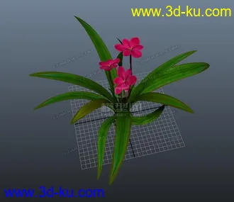 3D打印模型花草 小花 D的图片