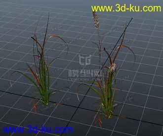 3D打印模型红叶草  小草 花草 杂草F的图片