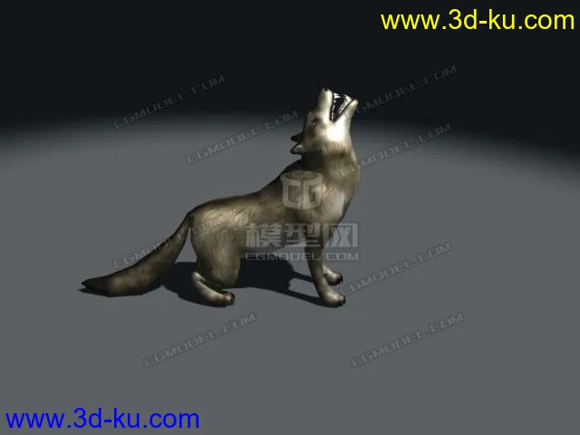 超写实的狼带动画可预览,雪狼,狼,草原狼,写实狼,狼狗模型的图片1