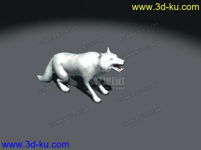 超写实的狼带动画可预览,雪狼,狼,草原狼,写实狼,狼狗模型的图片4