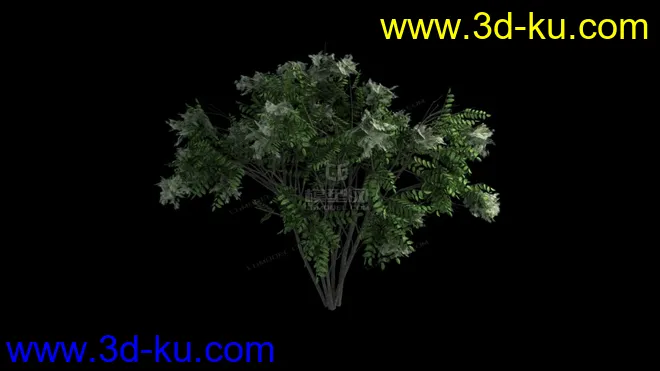 灌木 远景 小树 树丛模型的图片1