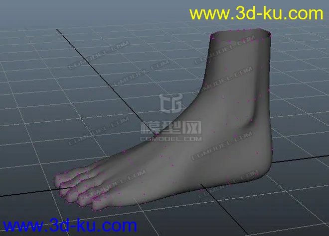 脚模型的图片1