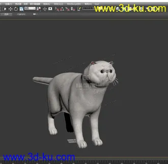 3D打印模型波斯猫的图片