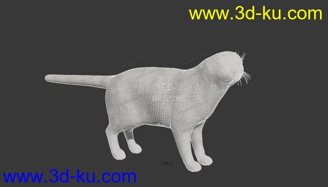 波斯猫模型的图片2