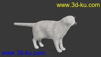 3D打印模型波斯猫的图片