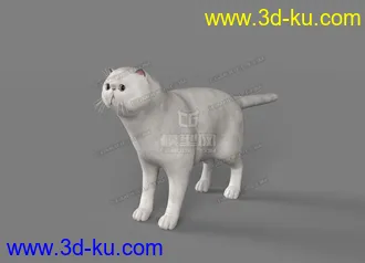 3D打印模型波斯猫的图片