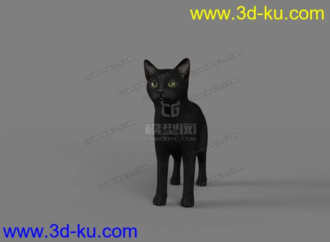 黑猫 black cat模型的图片1