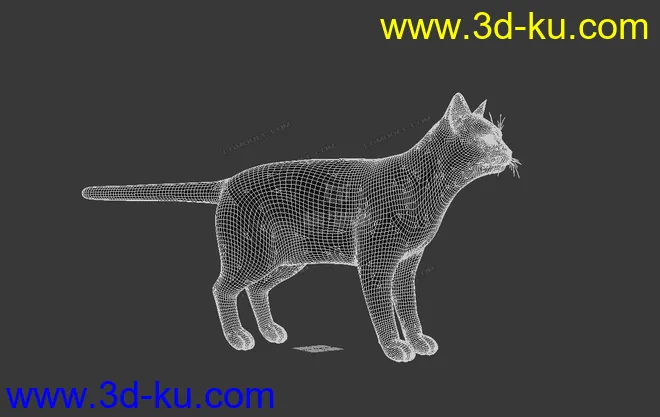 黑猫 black cat模型的图片3