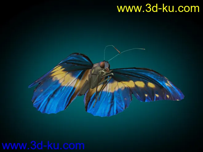 蝴蝶，带动画模型的图片2