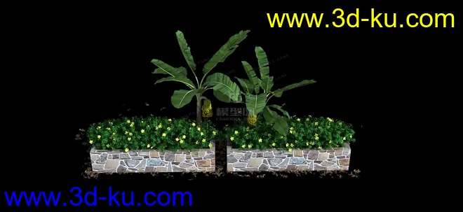花坛-植物-落叶-热带-香蕉模型的图片1