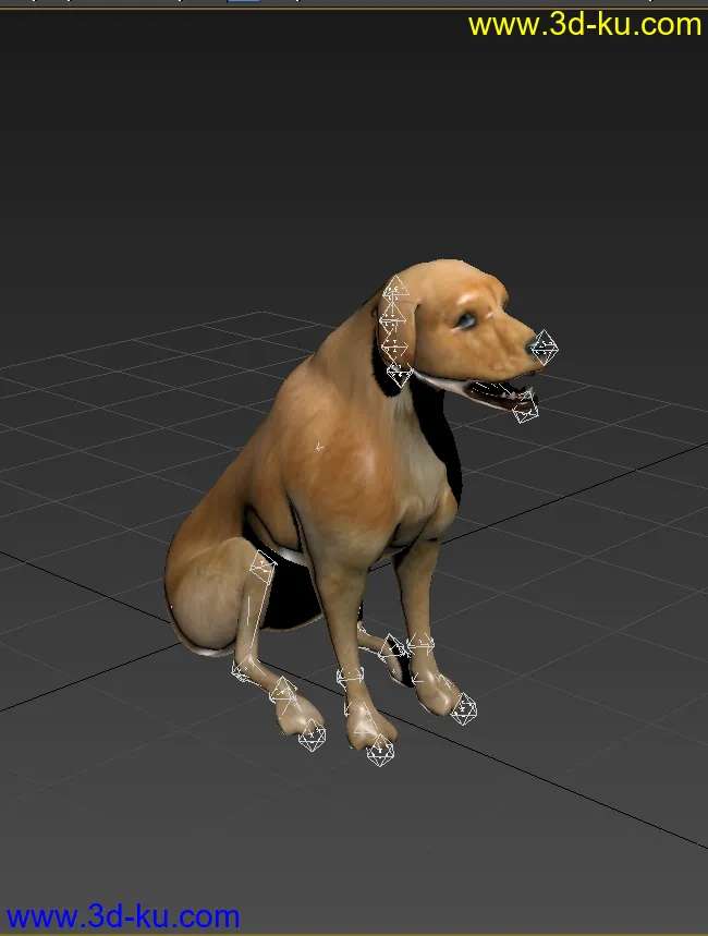 狗 模型下载 FBX 动画的图片2