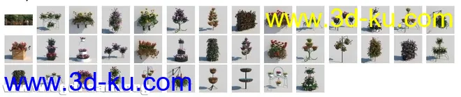 花架植物　写实自带贴图模型的图片1