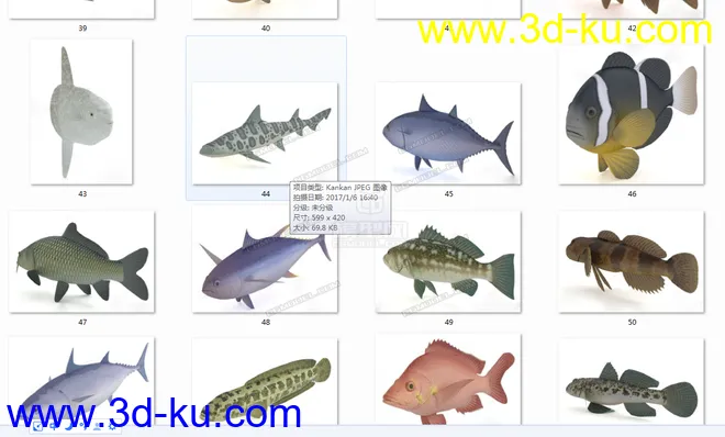 几十种鱼模型免费分享给大家的图片1