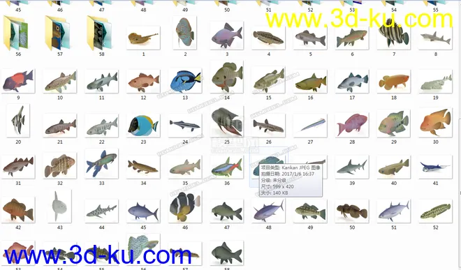 几十种鱼模型免费分享给大家的图片2