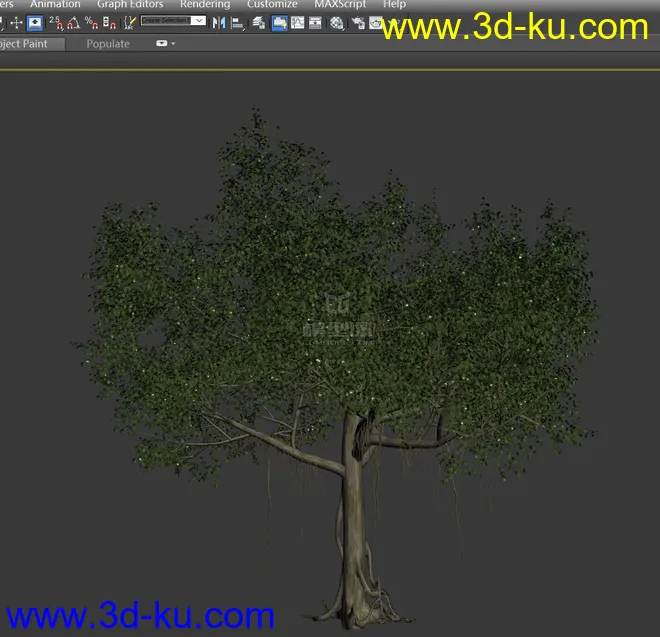 古树-参天大树-槐树-树藤模型的图片1