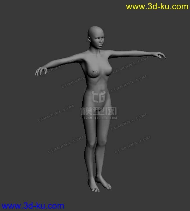非常写实的人体裸模 有细节哟模型的图片1
