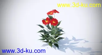 3D打印模型鲜艳的花朵的图片