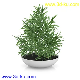 植物模型合集,盆景,盆栽,花草,花盆,各类植物模型共30个的图片