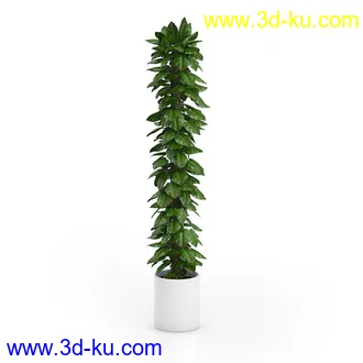 植物模型合集,盆景,盆栽,花草,花盆,各类植物模型共30个的图片