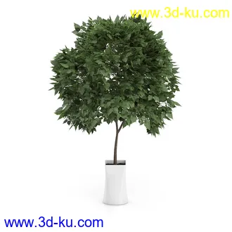 植物模型合集,盆景,盆栽,花草,花盆,各类植物模型共30个的图片