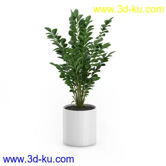 植物模型合集,盆景,盆栽,花草,花盆,各类植物模型共30个的图片