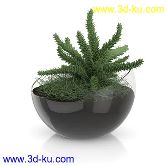 植物模型合集,盆景,盆栽,花草,花盆,各类植物模型共30个的图片