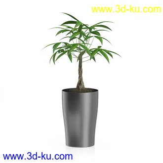 植物模型合集,盆栽,盆景,花盆,鲜花,花卉,草,各种植物模型共31个的图片