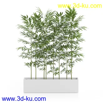 植物模型合集,盆栽,盆景,花盆,鲜花,花卉,草,各种植物模型共31个的图片20