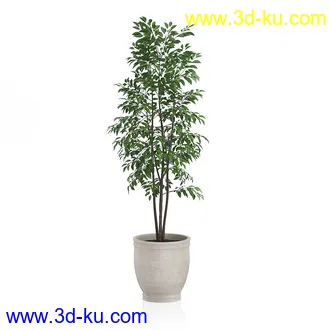 植物模型合集,盆栽,盆景,花盆,鲜花,花卉,草,各种植物模型共31个的图片