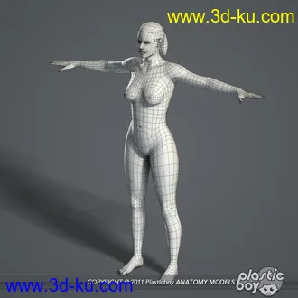 人体器官模型,男女人物解剖模型,人类肌肉骨骼神经内脏模型,maya,max,c4d的图片