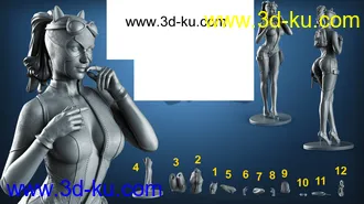 DC漫画人物-猫女-3D打印模型的图片