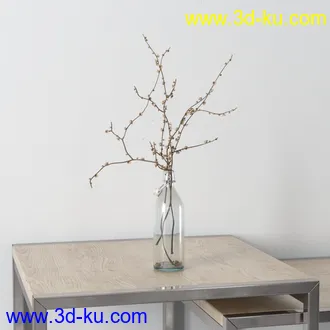 花瓶,室内植物,花,草,油灯,蜡烛,酒,相册,书本,皮包,提灯,模型,室内物品模型合集的图片7