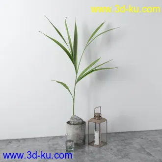 花瓶,室内植物,花,草,油灯,蜡烛,酒,相册,书本,皮包,提灯,模型,室内物品模型合集的图片8